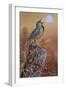 Meadowlark Painting-Jeff Tift-Framed Giclee Print