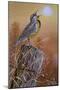 Meadowlark Painting-Jeff Tift-Mounted Giclee Print