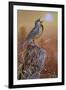 Meadowlark Painting-Jeff Tift-Framed Premium Giclee Print