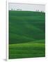 Meadows and cypresse in the Tuscany-Roland Gerth-Framed Photographic Print