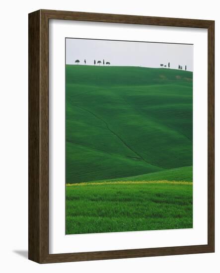 Meadows and cypresse in the Tuscany-Roland Gerth-Framed Photographic Print