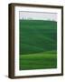 Meadows and cypresse in the Tuscany-Roland Gerth-Framed Photographic Print