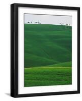 Meadows and cypresse in the Tuscany-Roland Gerth-Framed Photographic Print