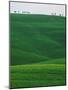 Meadows and cypresse in the Tuscany-Roland Gerth-Mounted Photographic Print