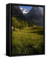 Meadows and Mountains, Grindelwald, Bern, Switzerland, Europe-Richardson Peter-Framed Stretched Canvas