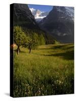 Meadows and Mountains, Grindelwald, Bern, Switzerland, Europe-Richardson Peter-Stretched Canvas