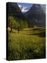 Meadows and Mountains, Grindelwald, Bern, Switzerland, Europe-Richardson Peter-Stretched Canvas