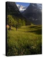 Meadows and Mountains, Grindelwald, Bern, Switzerland, Europe-Richardson Peter-Stretched Canvas