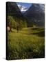 Meadows and Mountains, Grindelwald, Bern, Switzerland, Europe-Richardson Peter-Stretched Canvas