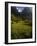 Meadows and Mountains, Grindelwald, Bern, Switzerland, Europe-Richardson Peter-Framed Photographic Print