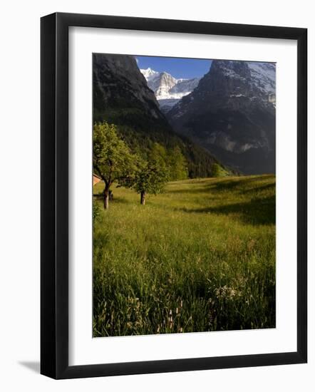 Meadows and Mountains, Grindelwald, Bern, Switzerland, Europe-Richardson Peter-Framed Photographic Print