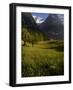 Meadows and Mountains, Grindelwald, Bern, Switzerland, Europe-Richardson Peter-Framed Photographic Print