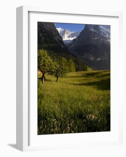 Meadows and Mountains, Grindelwald, Bern, Switzerland, Europe-Richardson Peter-Framed Photographic Print