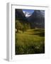 Meadows and Mountains, Grindelwald, Bern, Switzerland, Europe-Richardson Peter-Framed Photographic Print