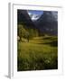 Meadows and Mountains, Grindelwald, Bern, Switzerland, Europe-Richardson Peter-Framed Photographic Print