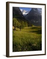 Meadows and Mountains, Grindelwald, Bern, Switzerland, Europe-Richardson Peter-Framed Photographic Print