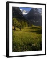 Meadows and Mountains, Grindelwald, Bern, Switzerland, Europe-Richardson Peter-Framed Photographic Print