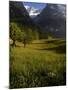 Meadows and Mountains, Grindelwald, Bern, Switzerland, Europe-Richardson Peter-Mounted Photographic Print