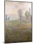 Meadows at Giverny, 1888-Claude Monet-Mounted Giclee Print