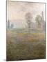 Meadows at Giverny, 1888-Claude Monet-Mounted Giclee Print