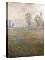 Meadows at Giverny, 1888-Claude Monet-Stretched Canvas