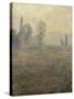 Meadows at Giverny-Claude Monet-Stretched Canvas