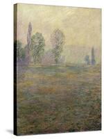Meadows at Giverny-Claude Monet-Stretched Canvas