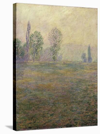 Meadows at Giverny-Claude Monet-Stretched Canvas