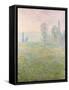 Meadows in Giverny, 1888-Claude Monet-Framed Stretched Canvas