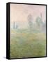 Meadows in Giverny, 1888-Claude Monet-Framed Stretched Canvas