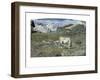 Meadows in Spring-Giovanni Segantini-Framed Art Print