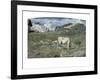 Meadows in Spring-Giovanni Segantini-Framed Art Print