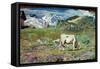 Meadows in Spring-Giovanni Segantini-Framed Stretched Canvas