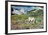 Meadows in Spring-Giovanni Segantini-Framed Giclee Print