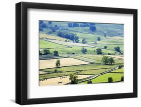 Meadows in Wharfedale from Edge Top Near Hebden, Yorkshire Dales, Yorkshire, England-Mark Sunderland-Framed Photographic Print