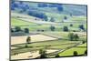 Meadows in Wharfedale from Edge Top Near Hebden, Yorkshire Dales, Yorkshire, England-Mark Sunderland-Mounted Photographic Print