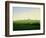 Meadows near Greifswald-Caspar David Friedrich-Framed Giclee Print