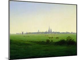 Meadows near Greifswald-Caspar David Friedrich-Mounted Giclee Print