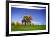 Meadows of Dan I-Alan Hausenflock-Framed Photographic Print