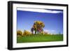 Meadows of Dan I-Alan Hausenflock-Framed Photographic Print