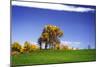 Meadows of Dan I-Alan Hausenflock-Mounted Photographic Print