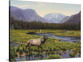 Meadows of Grand Lake, Colorado-John Zaccheo-Stretched Canvas