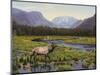 Meadows of Grand Lake, Colorado-John Zaccheo-Mounted Giclee Print