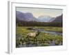 Meadows of Grand Lake, Colorado-John Zaccheo-Framed Giclee Print