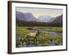 Meadows of Grand Lake, Colorado-John Zaccheo-Framed Giclee Print