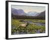 Meadows of Grand Lake, Colorado-John Zaccheo-Framed Giclee Print