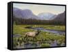 Meadows of Grand Lake, Colorado-John Zaccheo-Framed Stretched Canvas