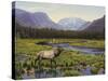 Meadows of Grand Lake, Colorado-John Zaccheo-Stretched Canvas