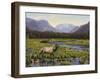 Meadows of Grand Lake, Colorado-John Zaccheo-Framed Giclee Print