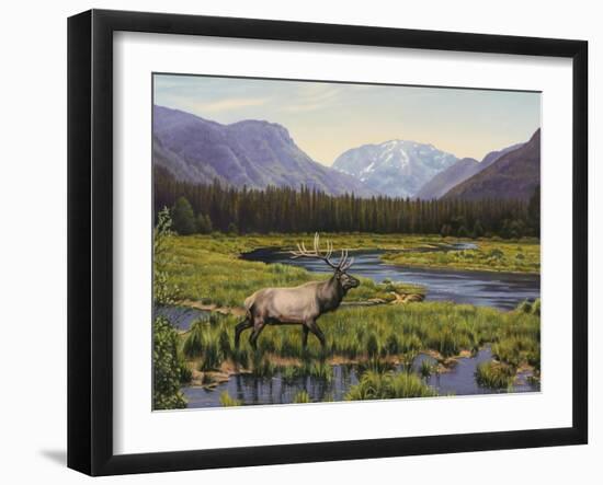 Meadows of Grand Lake, Colorado-John Zaccheo-Framed Giclee Print